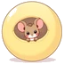 Crittergym.Com Logo